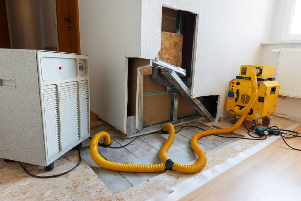 Mold Removal for HVAC Installations in Scissors, TX